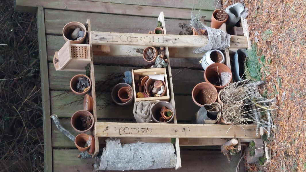 BugHouse Jan2023