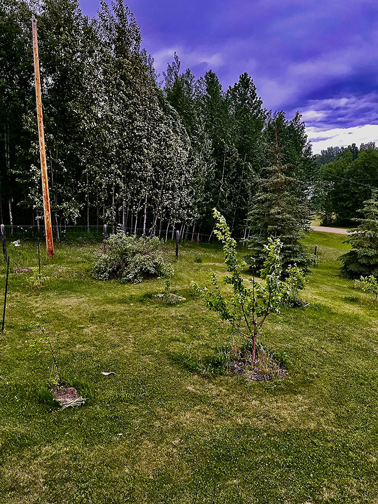 A storm rolls through my zone 3 Alberta garden - Photo by Jennifer Burns-Robinson