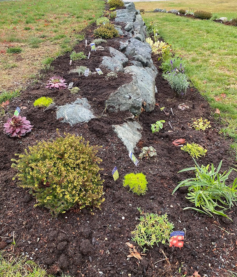 First-Recyclists-freshly-planted-and-compost-.jpg