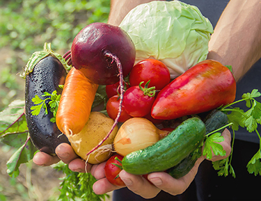 Growing-Food-Final.jpg