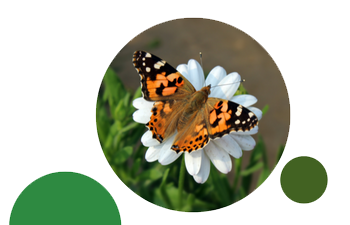 Join_our_Community-image_1.png