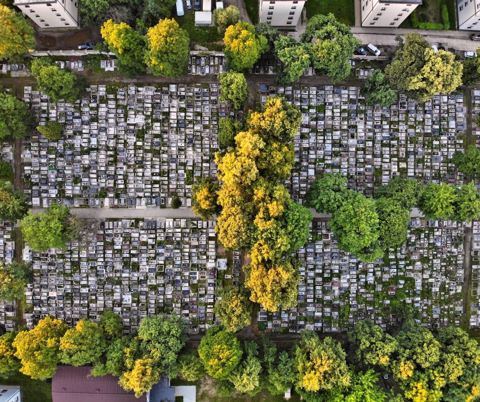 LivingGreenInfrastructure