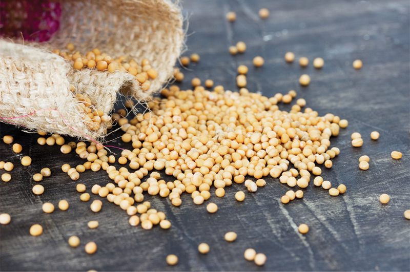 Seeds.png