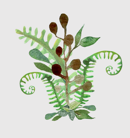 Spring_Gardening_Tips.png