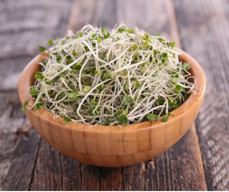 Sprouts_1.png