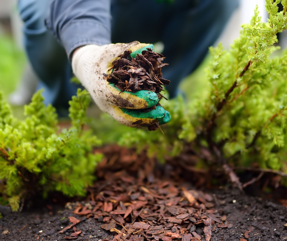 Mulching