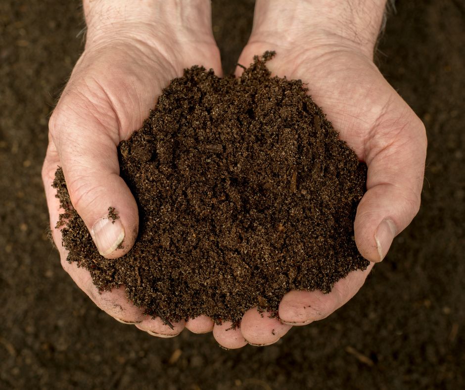 Compost