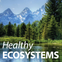 HealthyECOSYSTEMS 200