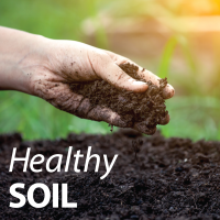 HealthySOIL 200