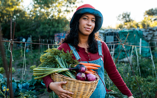 Organic Master  Gardener