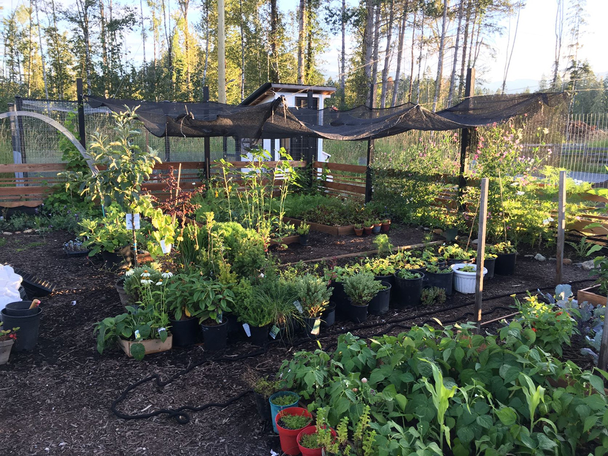 Garden under shade cloth