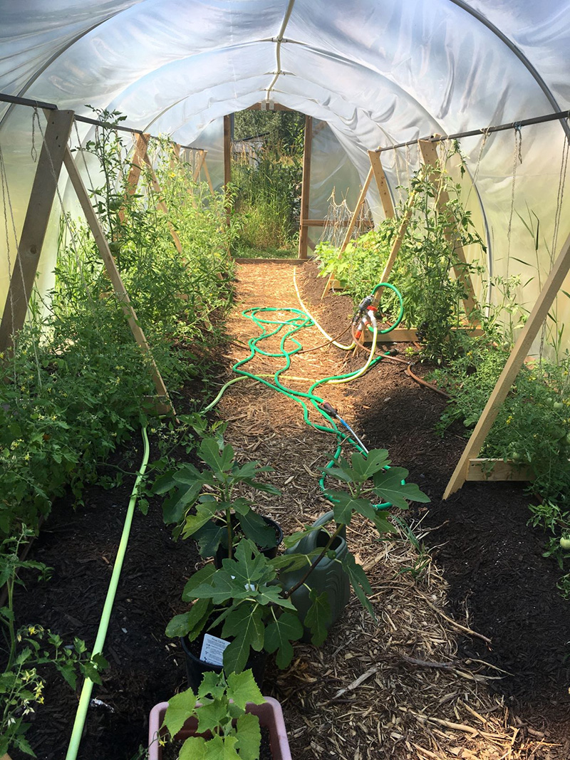 Greenhouse garden