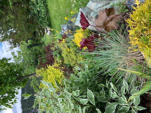 image8.jpeg