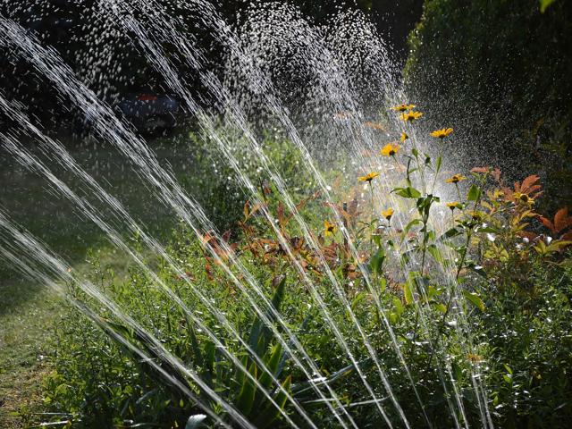 irrigation