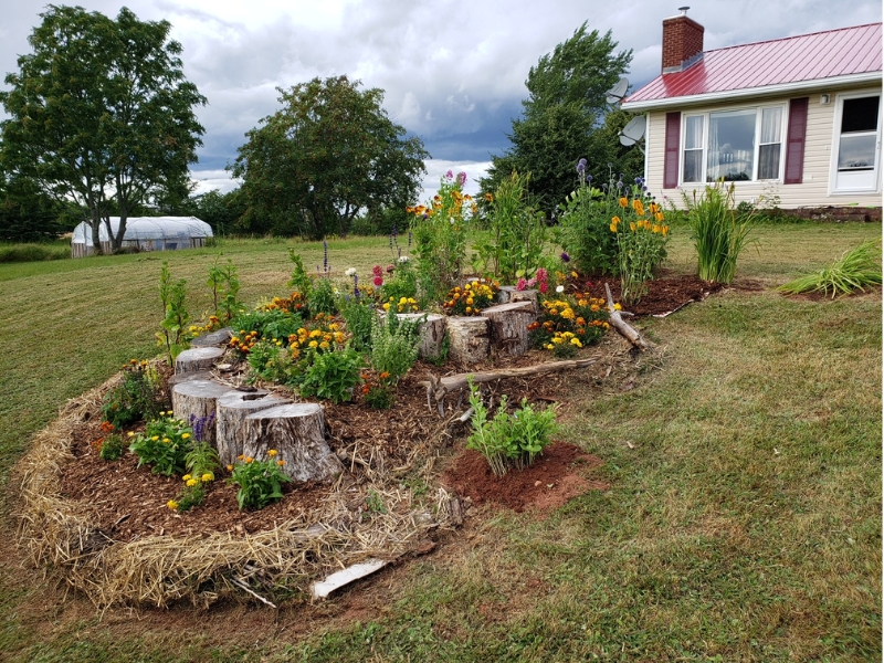 Spiral Garden
