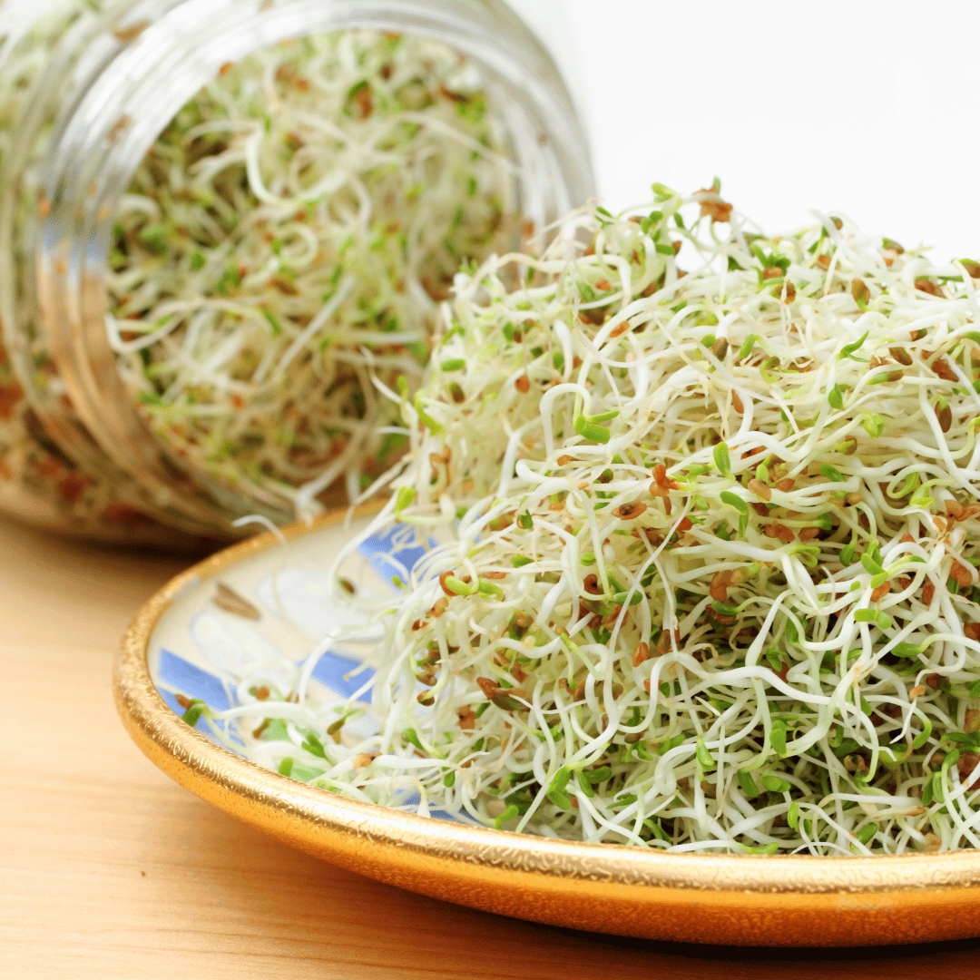 sprouted seeds