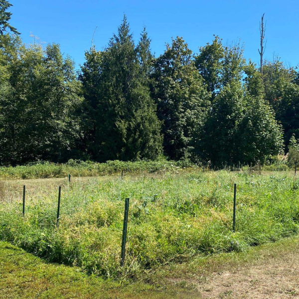 worm pasture